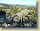 Hike-Redwood-City-Dec2011 (5) * 3648 x 2736 * (6.62MB)